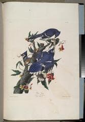 Go to image 10.