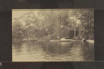 Wee Island