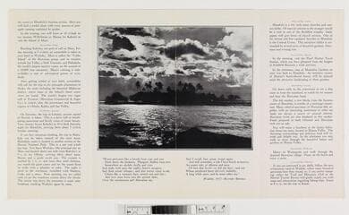 Go to image 7.