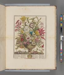 Go to image 10.