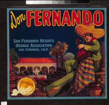 Don Fernando
