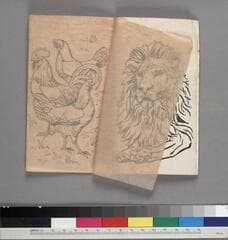 Go to image 2.