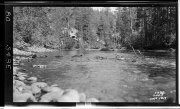 Big Creek Scenery