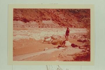 Small rapid at mouth of Wire Fence Canyon. Mile 37.1; cruise of 1965, June 23-30