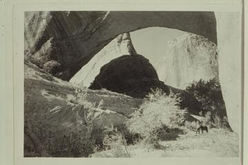 Natural bridge of Navajo sandstone, Willow Creek. Span 185 feet, height to girder 76 feet