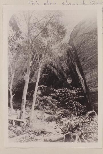 "Views on the Colorado River," Glen Canon Series, Entrance to Music Temple, No. 149. This photo shown to Sid Whiskers at Navajo Mt. Trading Post, 1957, Sep. He reported there was no land route permitting the riding of horses to it