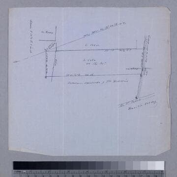 Cota, Leonardo - Cota parcel