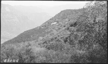 Kaweah #1