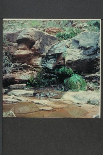 Melody or Melodic Spring. Mile 1, left bank of San Juan River
